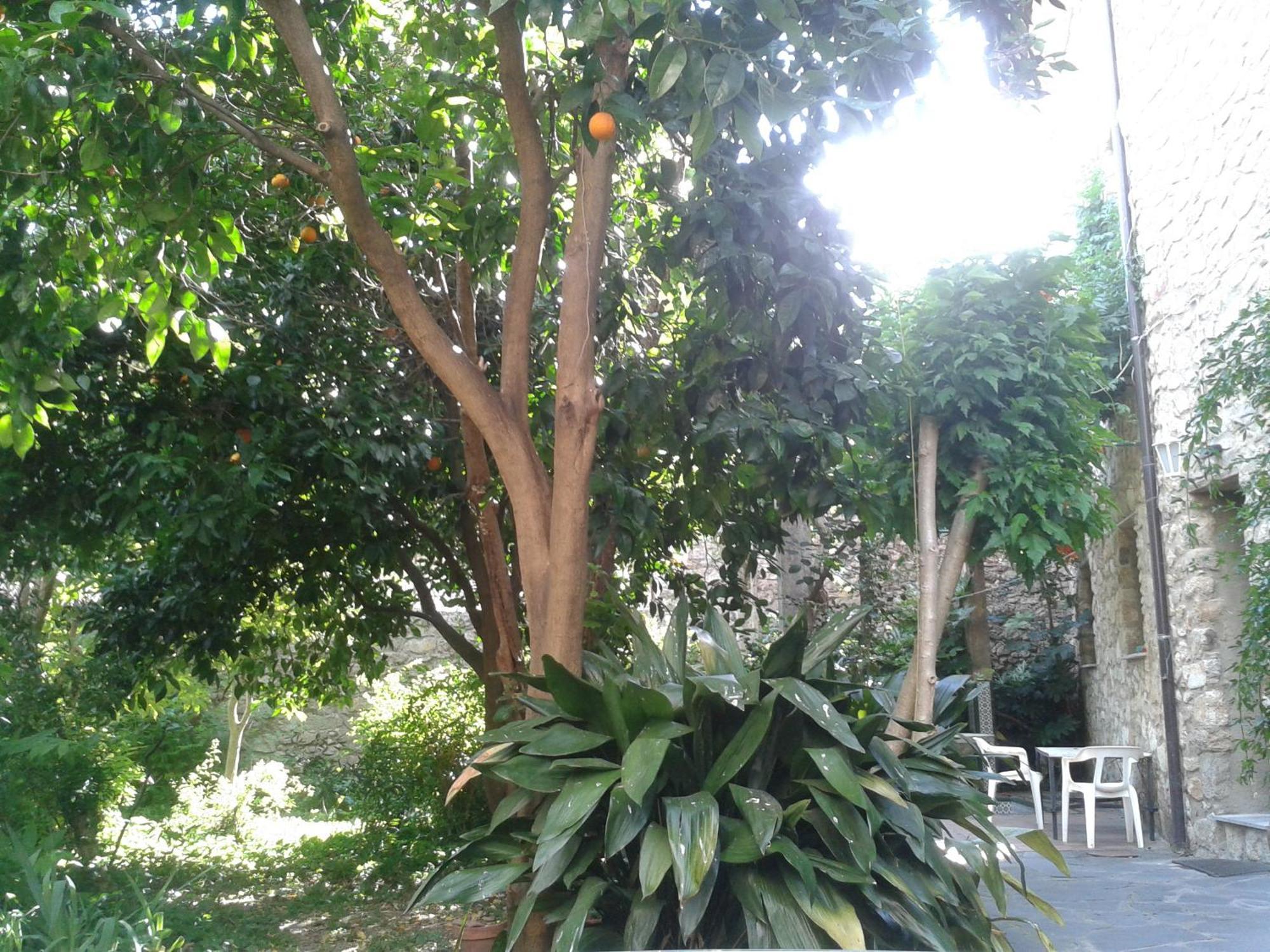Casa Rural Corvina Acebo Esterno foto