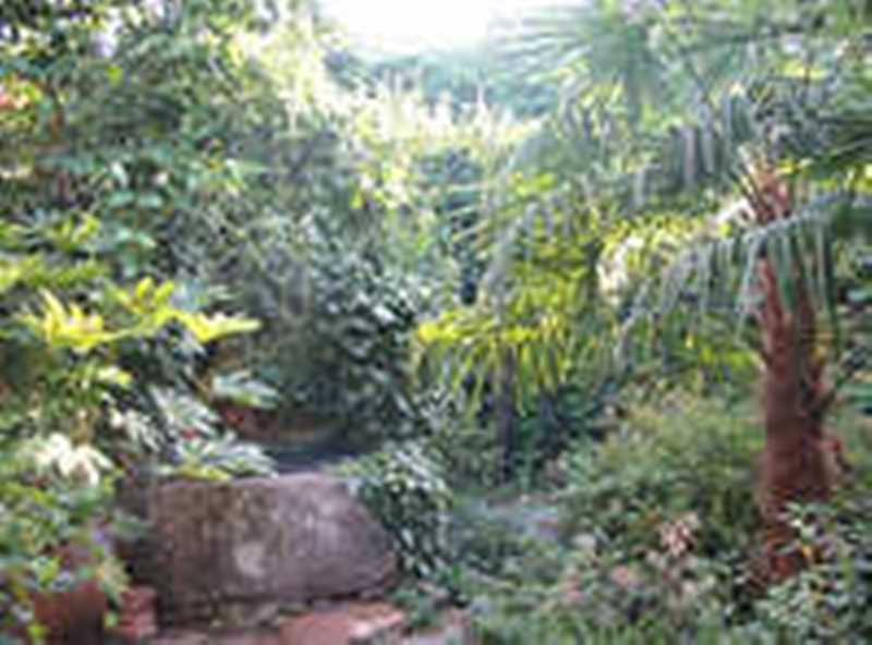 Casa Rural Corvina Acebo Esterno foto